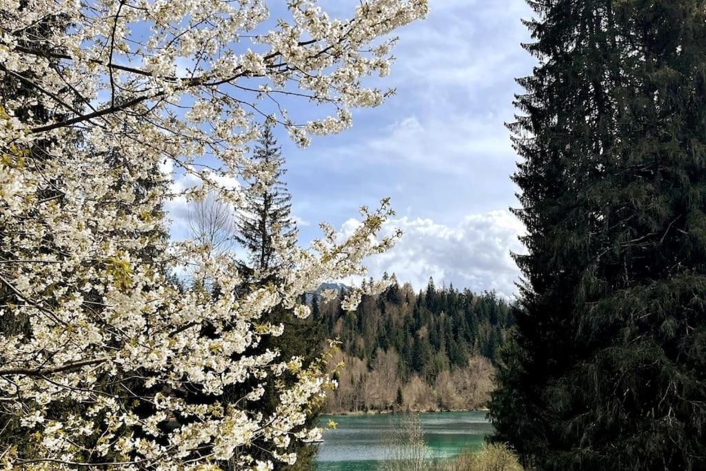 Wohnung Mit Fantastischer Aussicht Trin Eksteriør billede